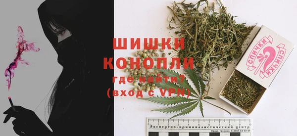 бошки Алексин