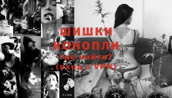 бошки Алексин