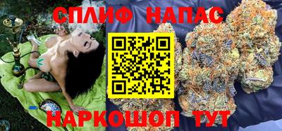 Альфа ПВП Камышлов