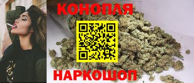Альфа ПВП Камышлов