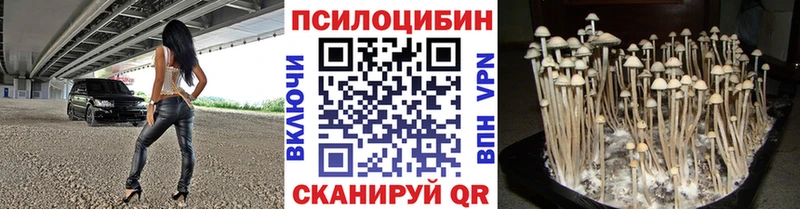 где найти   Ливны  Галлюциногенные грибы MAGIC MUSHROOMS 