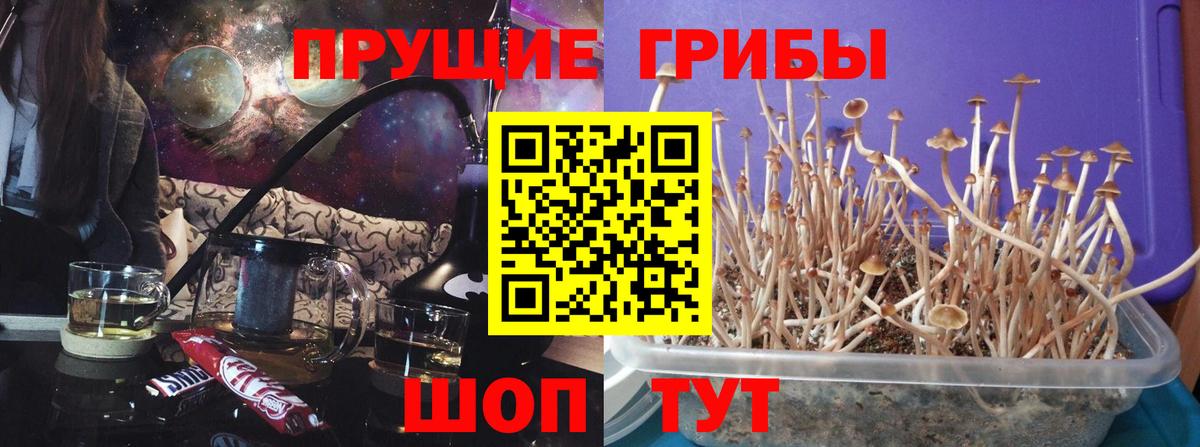 Ливны  Галлюциногенные грибы GOLDEN TEACHER  Вход с VPN 