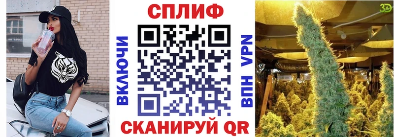 Бошки Шишки гибрид  купить  цена  Ливны 